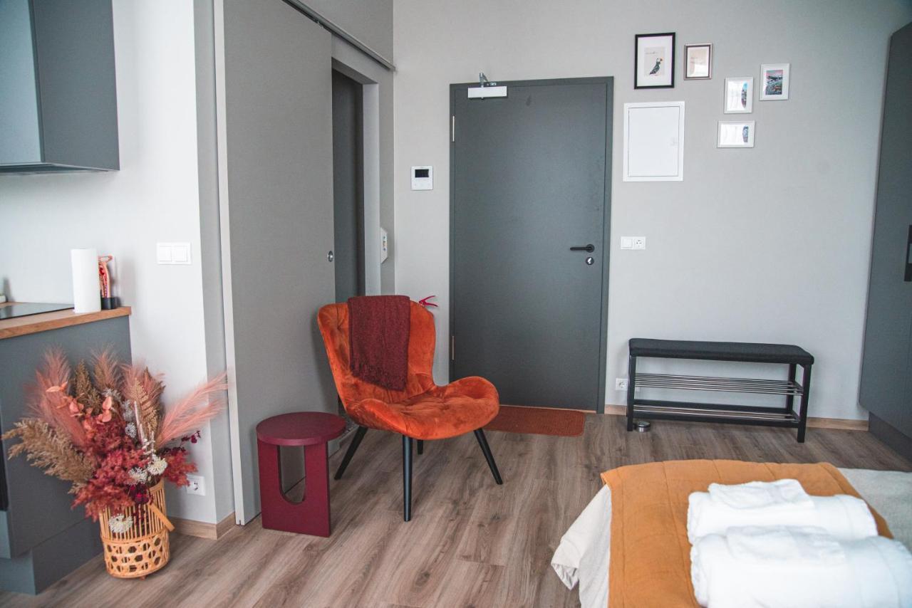Cozy Studio By The City Centre Apartment Рейкявик Екстериор снимка
