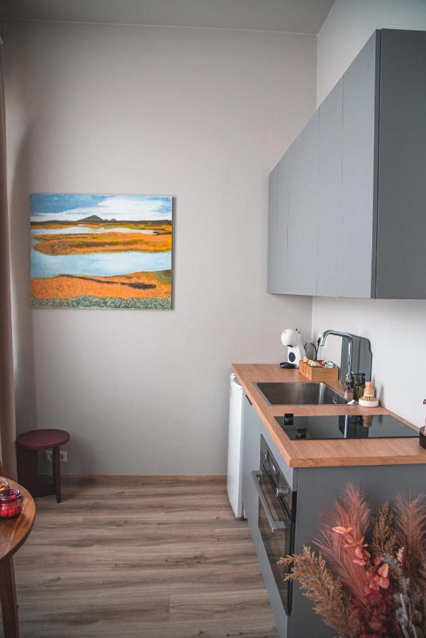 Cozy Studio By The City Centre Apartment Рейкявик Екстериор снимка