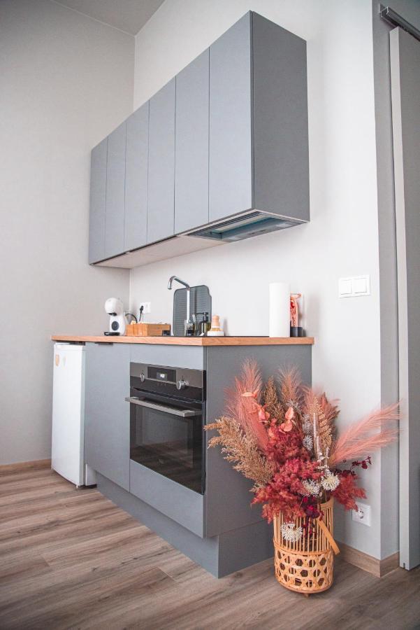 Cozy Studio By The City Centre Apartment Рейкявик Екстериор снимка