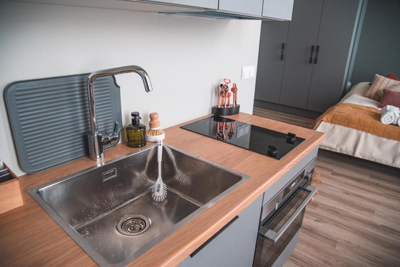 Cozy Studio By The City Centre Apartment Рейкявик Екстериор снимка